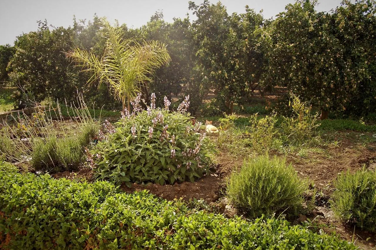 Farm stay Il Giardino Del Sole Villa Agnone Bagni Italy