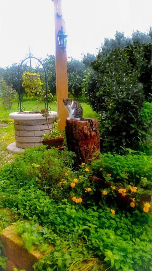 Villa Il Giardino Del Sole Agnone Bagni Italia