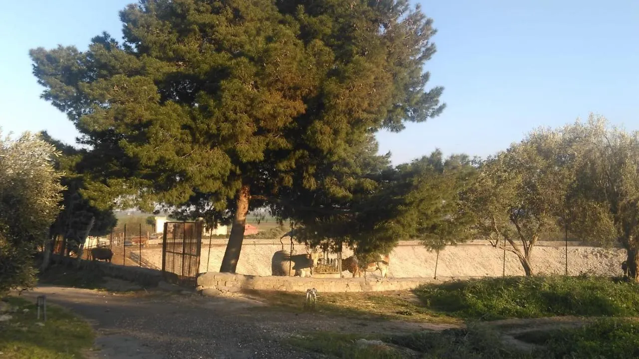 Alloggio per agriturismo Villa Il Giardino Del Sole Agnone Bagni
