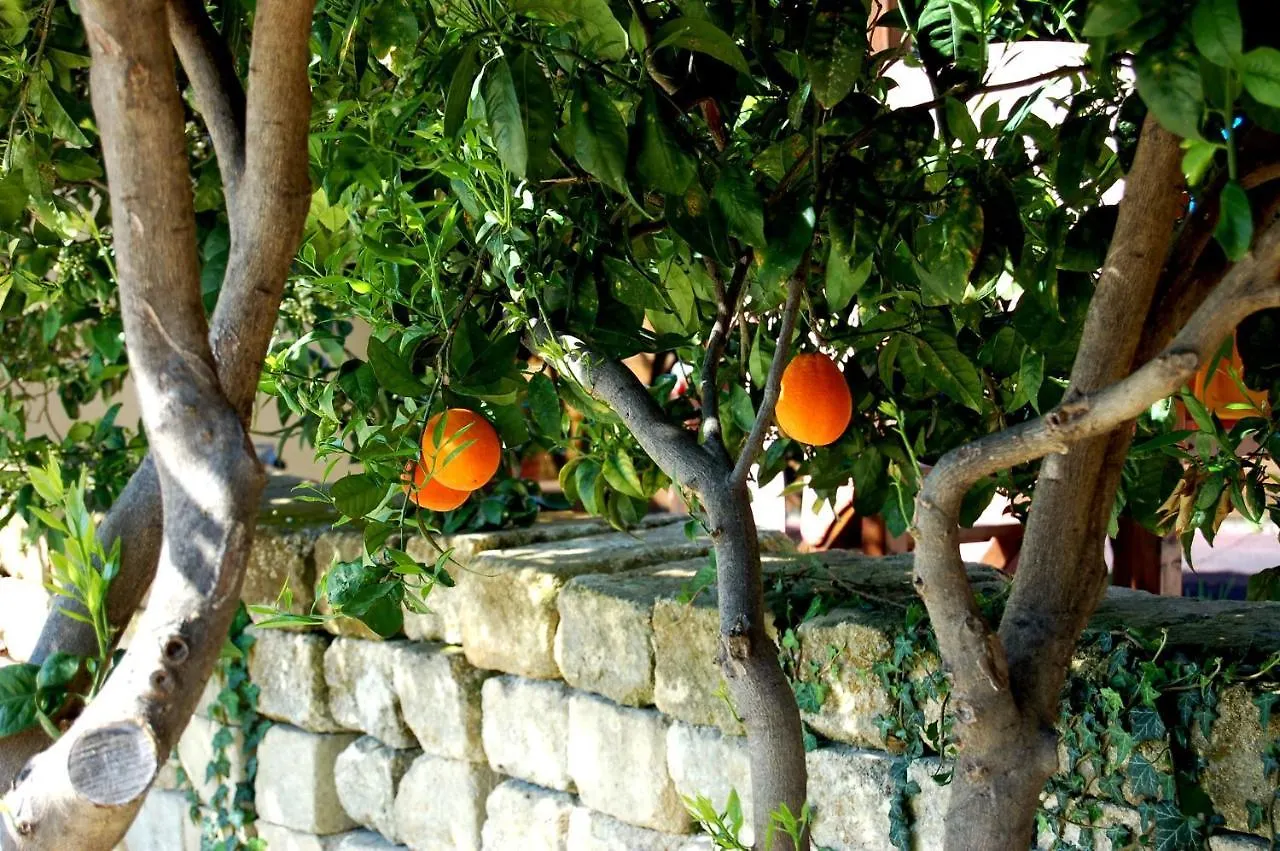 Villa Il Giardino Del Sole Agnone Bagni Alloggio per agriturismo